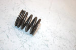 92 Kawasaki Bayou 300 4x4 Oem Valve Spring Set 12007-014 12007-013 AK14