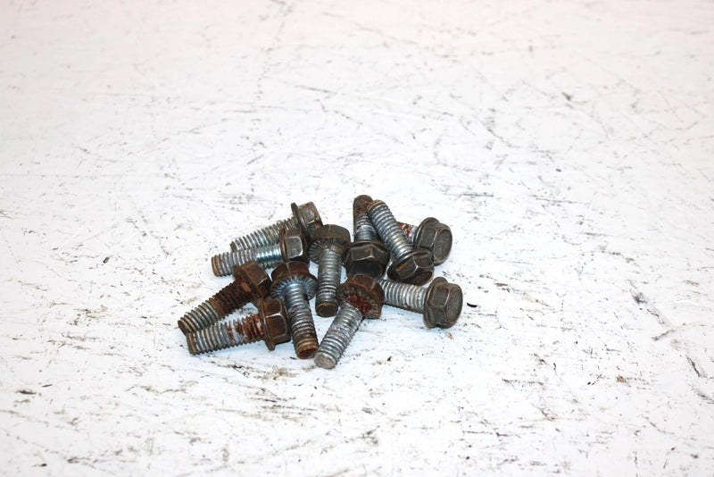 2002 Polaris Sportsman 700 Oem Bolt Set Of 11 3233955 AP184