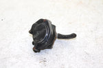 2000 Honda Trx 250 Recon Oem Throttle Lever 53143-HM7-305 AH52