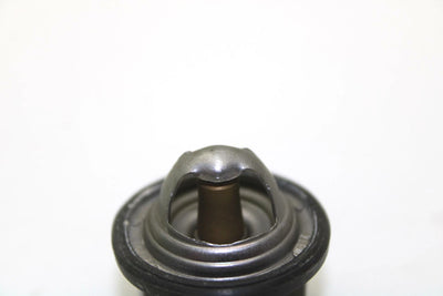 Polaris OEM Thermostat 3084940 Q89