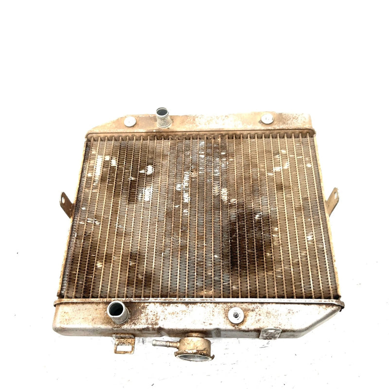 01-04 Honda Foreman Rubicon 500 TRX500FA 4x4 OEM Radiator  19010-HN2-505 AH86