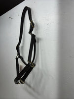 New Tough 1 Genuine Leather Brown Track Horse Halter #44-2046 W-49