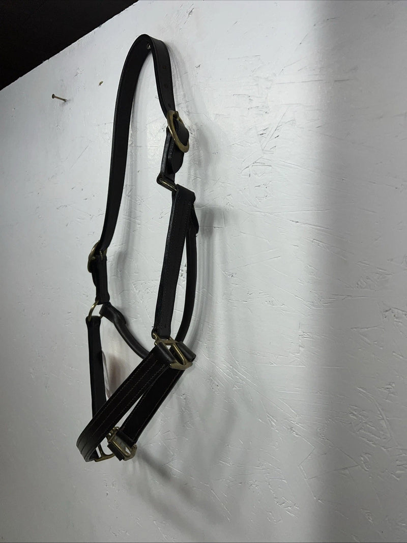 New Tough 1 Genuine Leather Brown Track Horse Halter #44-2046 W-49