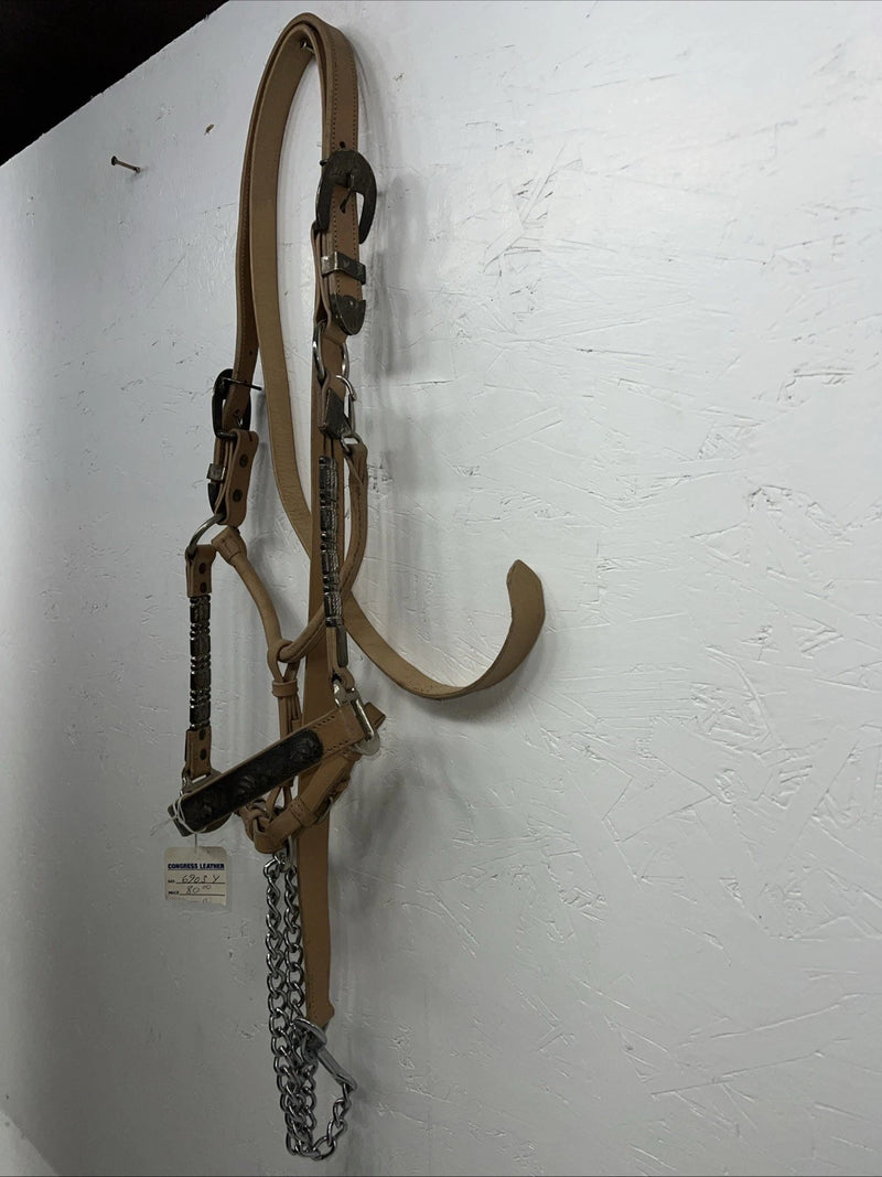 New Congress Leather Show Halter W Lead rope #6903Y U-30
