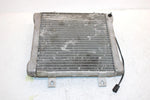 2002 Polaris Sportsman 500 Oem Radiater W/Screen 1240533 5433317 AP154