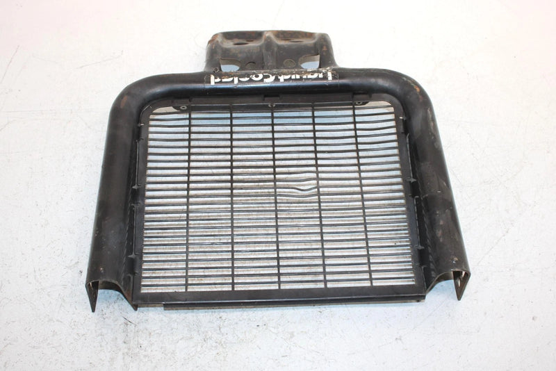 2002 Polaris Sportsman 500 Oem Front Brush Guard 5244731-067; 1013772-067 AP154