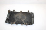 99 Kawasaki Prairie 400 4x4 Oem Radiator 39060-1150 AK16