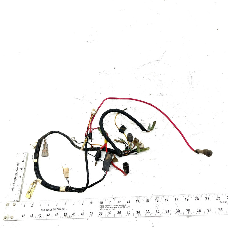 2003 Yamaha Raptor 80 OEM Main Wire Harness 5TH-82590-00-00 AY69