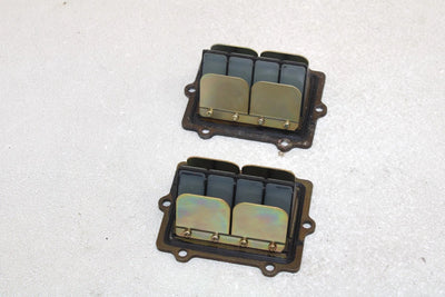 Polaris Oem Intake Reed Valve (Pair) 1201825 Q1174