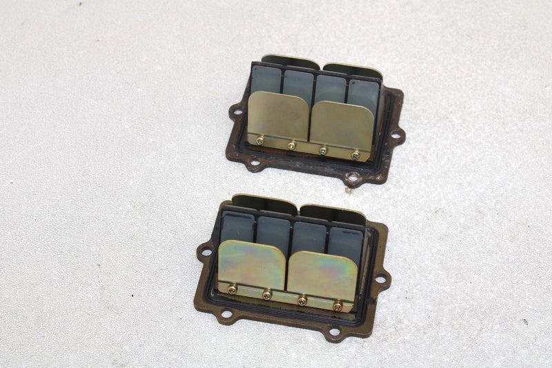 Polaris Oem Intake Reed Valve (Pair) 1201825 Q1174