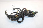 02 Arctic Cat Pantera 600 Esr Efi Oem Main Wire Harness 0686-774 SAS8