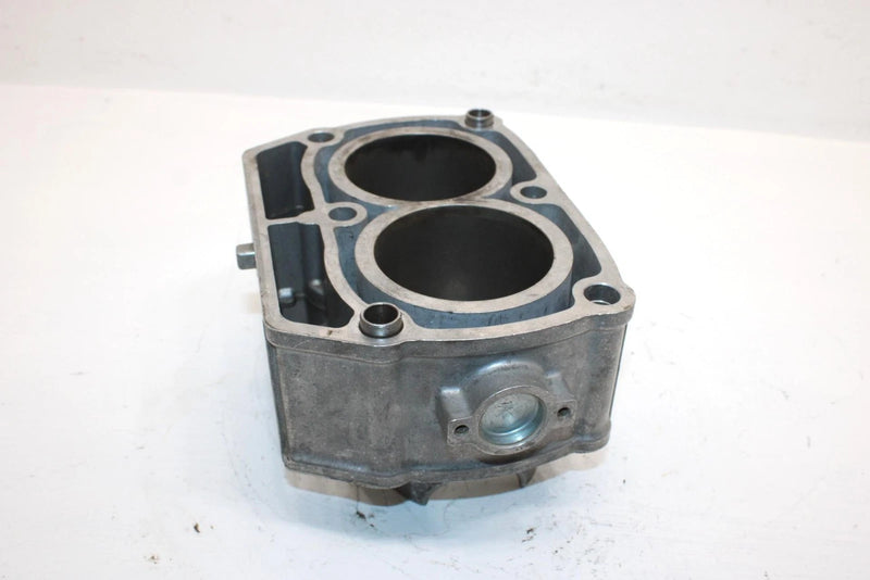 2011 Polaris Sportsman 800 Efi Oem 80mm Bore Cylinder 2204393 AP179