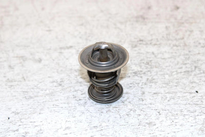 1996 Ski-doo Formula Ss Oem Thermostat 420922519 SS7