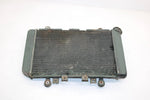 99 Kawasaki Prairie 400 4x4 Oem Radiator 39060-1150 AK16