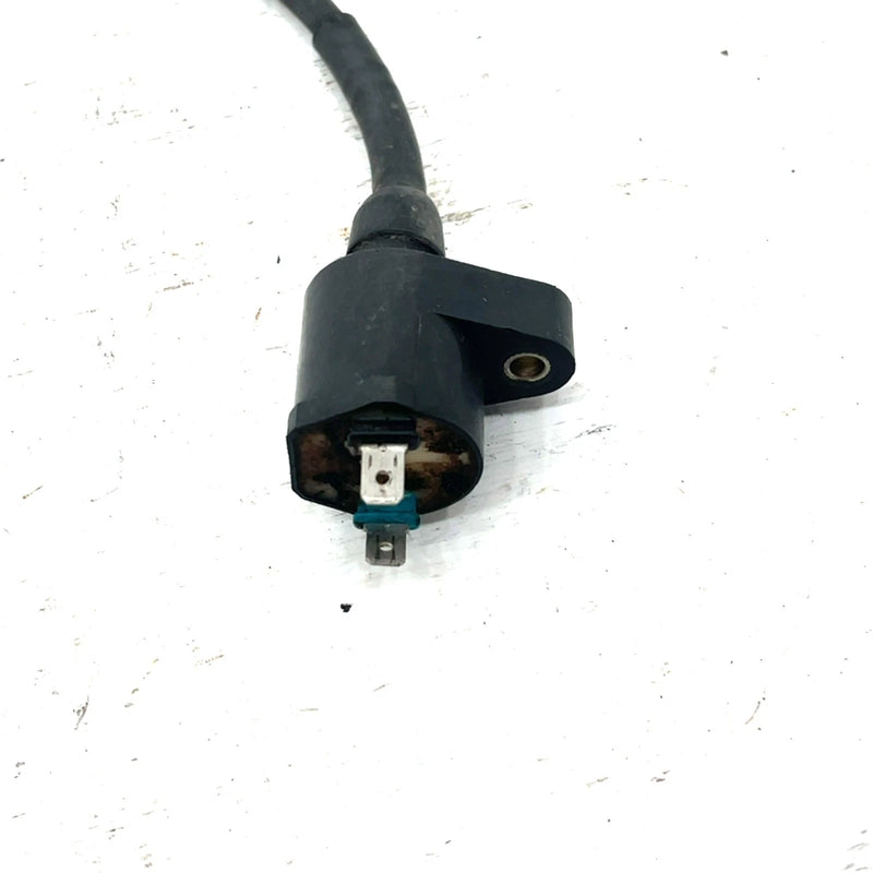 93-06 Honda Sportrax 300 TRX300EX 2x4 OEM Ignition Coil 30510-GR2-405 AH81