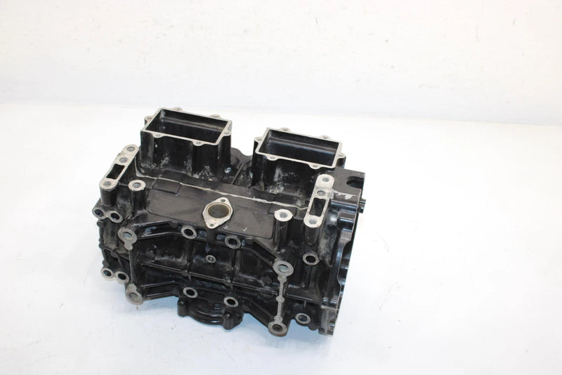 04 Arctic Cat Zr 900 Sno Pro Efi Oem Crankcase 3006-460 SA54