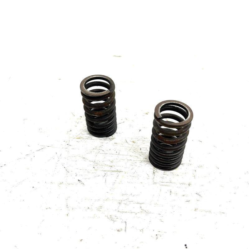 95-98 Polaris Magnum 425 4X4 OEM Valve Spring Pair 3086892 AP232