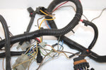 1999 Polaris Xplorer 400 Oem Main Wire Harness 2460704 AP149