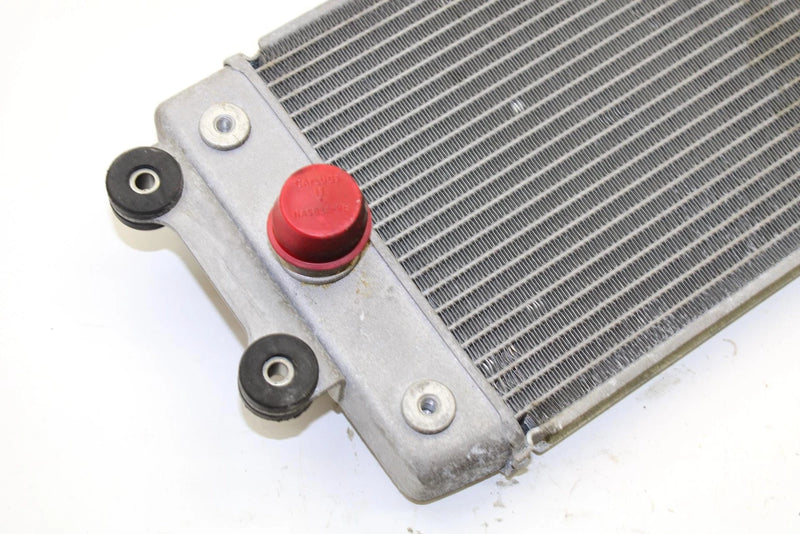 Yamaha Oem Engine Radiator 8GL-12461-00-00 B371