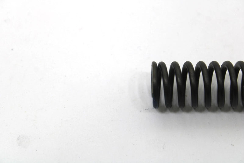 Yamaha Oem Intake Valve Spring 8FP-12113-00-00 Q1735
