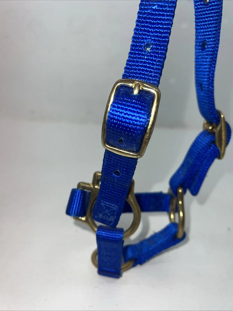 New Fabtron Blue Nylon Sheep Halter #NP121-2 3C-19