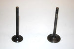 86 Kawasaki Bayou 300 Klf300a Oem Intake/Exhaust Valve (Pair) 12004-1123 AK6