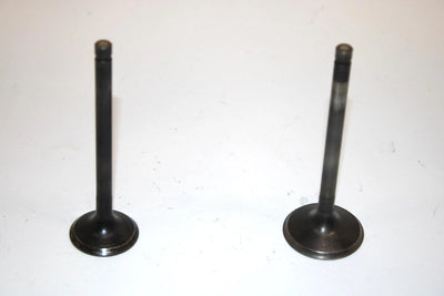 86 Kawasaki Bayou 300 Klf300a Oem Intake/Exhaust Valve (Pair) 12004-1123 AK6
