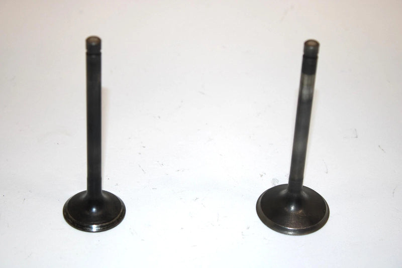 86 Kawasaki Bayou 300 Klf300a Oem Intake/Exhaust Valve (Pair) 12004-1123 AK6