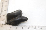 2003 Suzuki Lt-f400f Oem Brake Lever Cover 57541-38FA0 57541-38FA1 AS23