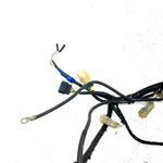 00-03 Honda Rancher 350 OEM Main Wire Harness 32100-HN4-670 AH80