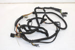 96 Polaris Xcr 440 Oem Main Engine Wiring Harness  2460484 SP187