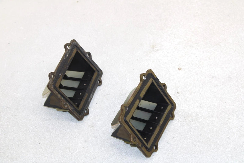Polaris Oem Intake Reed Valve (Pair) 1201825 Q1174
