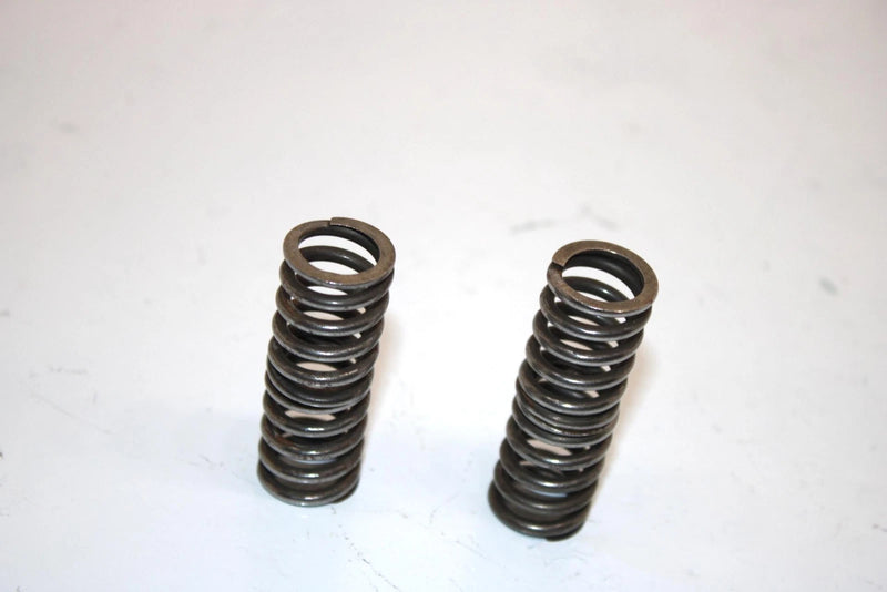 85 Suzuki Quadrunner 250 Lt250ef  Oem Valve Spring Set Of 4 09440-18017 AS14