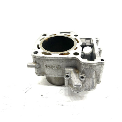 2005 Arctic Cat 650 4x4 V2 OEM 80mm Bore Rear Cylinder 3201-063 AA39