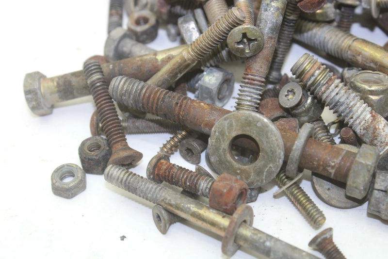 96 Arctic Cat EXT 580 EFI Mountain Cat OEM Bolts Nuts Washers Hardware Kit SA84