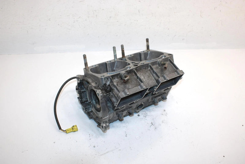 04 Arctic Cat Pantera 800 Efi Oem Crankcase W/Heat Sensor 3006-460 SAS15