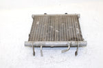 2002 Arctic Cat 375 Automatic (4x4 Green) Oem Radiator 0413-053 AA29