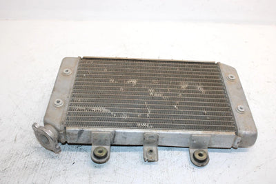 2006 Polaris Predator 500 Oem Radiator 1240130 AP63