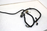 94 Polaris Trail Oem Main Engine Wiring Harness  2460429 SP170
