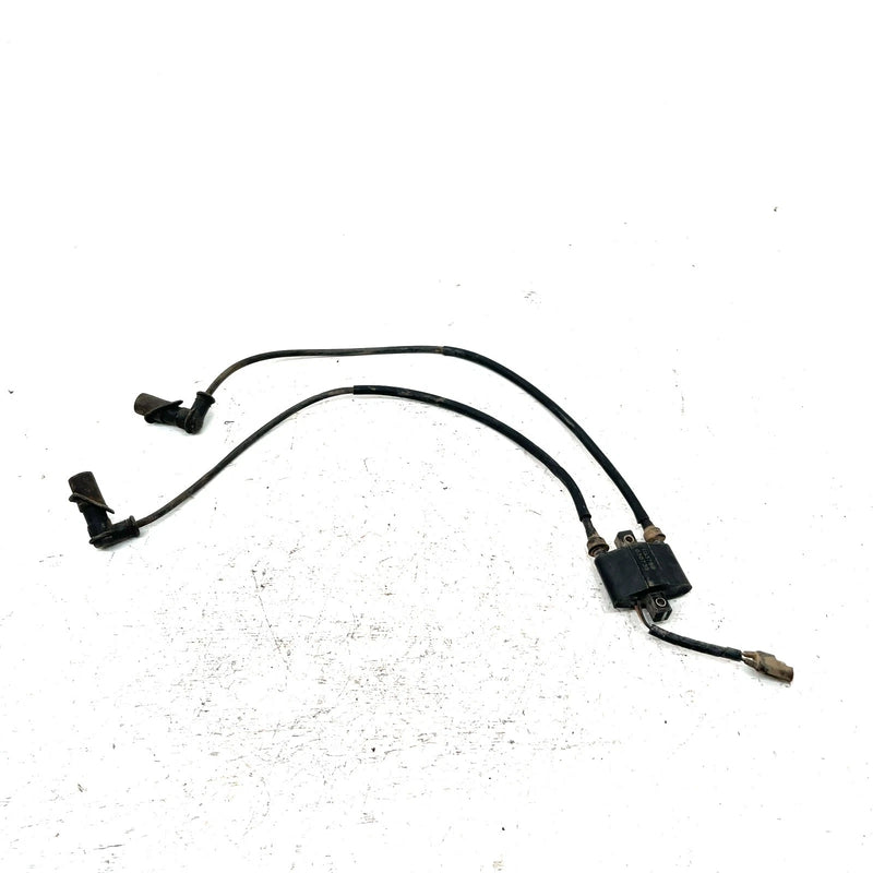 04-06 Polaris Sportsman 700 OEM Ignition Coil 4010898 AP219