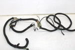 96 Polaris Ultra Sp Oem Main Engine Wiring Harness  2460579 SP199