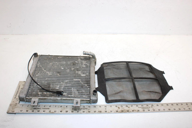 2002 Polaris Sportsman 500 Oem Radiater W/Screen 1240533 5433317 AP154