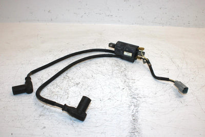 1998 Ski-doo Mxz 670 Oem Ignition Coil 415085400 SS17