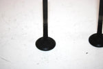 04 Polaris Sportsman 500 Oem Exhaust Valve Set 3085412 AP44