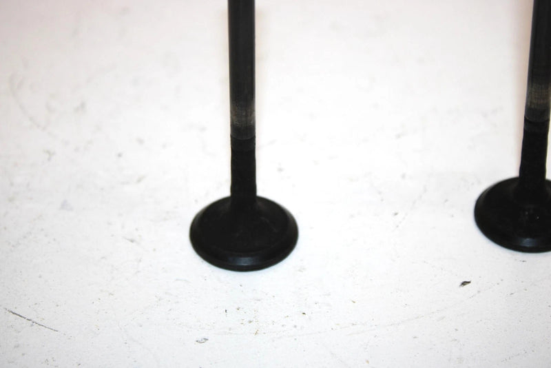 04 Polaris Sportsman 500 Oem Exhaust Valve Set 3085412 AP44