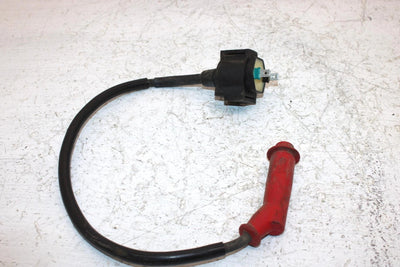 2002 Honda Foreman Rubicon 500 Oem Ignition Coil 30510-HN2-000 AH53