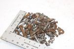 1987 Polaris 400 Oem Nut Bolt Spacer Hardware Kit SP61