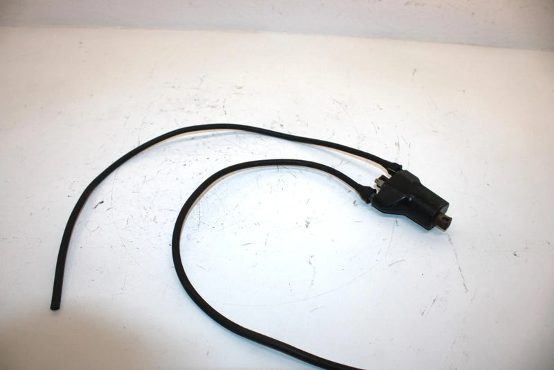 97 Arctic Cat Ext 600 Oem 2 Wire Ignition Coil 3004-483 SA67