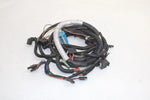Polaris Oem Main Engine Wiring Harness 2410588 Q5289