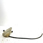 08-13 Kawasaki Teryx 750 KRF750A 4x4 OEM Coolant Tank 43078-0041 XK0.1